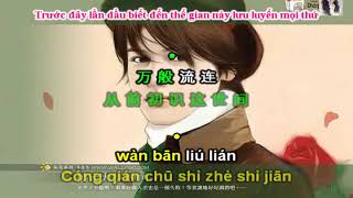 VietsubPinyin Gió Nổi Lên Rồi  起风了 [upl. by Giacinta]