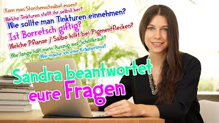 Wildkräuter  Fragerunde 🌿 Sandra beantwortet eure Fragen wildkräuter heilpflanzen kräuterkeller [upl. by Enailuj]