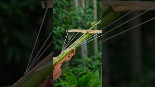 Bamboo creations with three archer and bamboo Bamboo Slingshots Bambooart Diy [upl. by Tucky348]