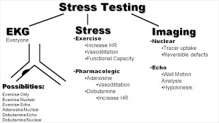 Stress Testing Explained By Cardiologist [upl. by Fillbert449]