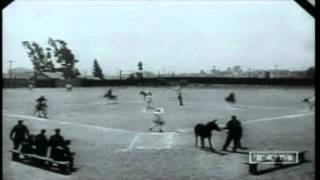 Donkey Baseball  1935 [upl. by Thorlay814]