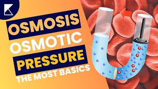 Osmosis and Osmotic Pressure Explained in less than 2 mins  Easy Science for Everyone Koncise [upl. by Ruffina]