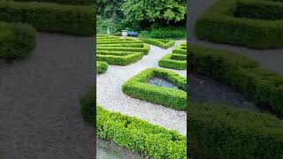 🏰 Beautiful border hedges in Highcliffe Castle 🌱 plantsngardens 💚 hedgetok plants gardens [upl. by Zeus]