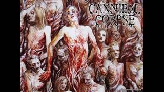 Cannibal Corpse The Bleeding 1994 FULL ALBUM [upl. by Ahsenyl859]