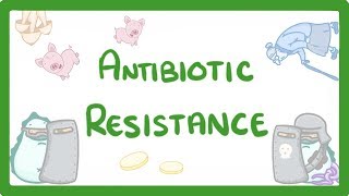 GCSE Biology  What is Antibiotic Resistance Why Antibiotic Resistance is a HUGE issue 81 [upl. by Ettezzil]