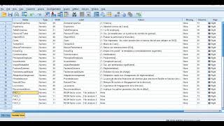 SPSS ANALYSE EXPLORATOIRE ET CONFIRMATOIRE [upl. by Ivett353]