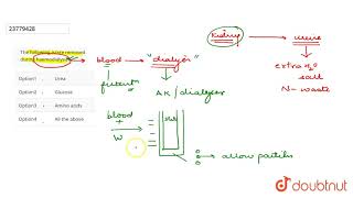 The following isare removed during haemodialysis [upl. by Ateuqram]