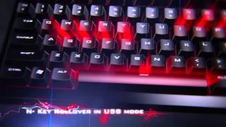 CM Storm QuickFire TK gaming keyboard [upl. by Nolte]