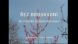 Řez broskvoní  od výsadby do desátého roku 1 díl [upl. by Lucine]