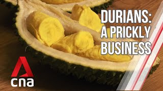 Feeding Chinas growing demand for durians  Correspondents Diary  Full Episode [upl. by Lirpa]