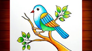 Bird Drawing for Beginners  Bird Scenery Drawing  Birds Drawing Colour  How to Draw Birds [upl. by Booma]