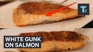 What that white gunk on your salmon actually is — and how to prevent it [upl. by Wylen]