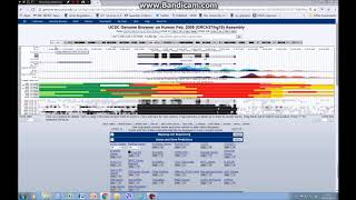 How to visualise chromatin and epigenetic data on the UCSC genome browser tutorial 4 [upl. by Kelsy201]