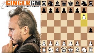 GM Analysis 38  The Maddest Game of Chess Ever Gareyev vs Zulfic [upl. by Nuawtna451]