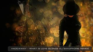 Haddaway  What Is Love Elence Dj Saxophone Remix [upl. by Hanford775]