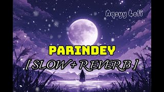 Parindey SlowedReverbB PraakAqsyy Lofi [upl. by Rettig]