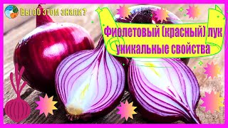 Фиолетовый красный лук — уникальные свойства [upl. by Wescott]