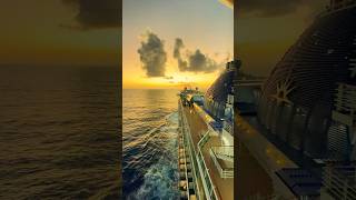 Compilation seaman seaman shortvideo shorts shortsviral cruiseship cruiselife [upl. by Kaule]