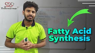 Fatty acid synthesis in bangla [upl. by Enilreug]