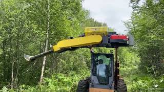 Beavertech Débroussailleuse Brushcutter DEBAUT36 [upl. by Othe]