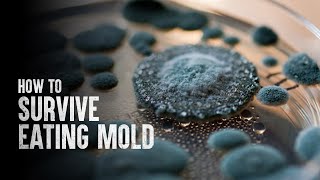 How to Survive Eating Mold [upl. by Thompson]