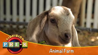 Animal Farm  Virtual Field Trip  KidVision PreK [upl. by Charlean348]