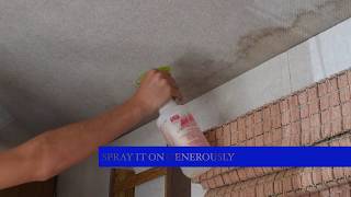 How to remove a water stain on your Rvs Ceiling [upl. by Firestone]