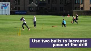 Cricket Fielding Drill Four Stump Warm Up [upl. by Chaffinch716]