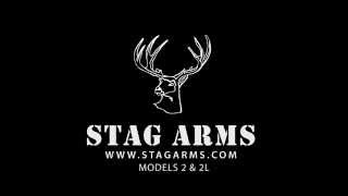 Stag Arms Model 2 amp 2L Overview [upl. by Ecirtap]