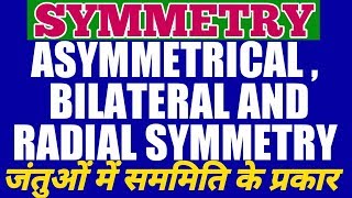 WHAT IS SYMMETRY AND ITS TYPES IN ANIMALS  ANIMAL SYMMETRY  ASYMMETRY RADIAL AND BILATERAL [upl. by Adnilim]