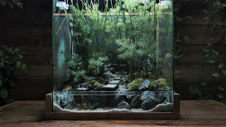 how to make a bamboo forest  Paludarium  Aquaterrarium [upl. by Eceinehs398]