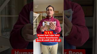 Human Real Beauty Bone  Collar BoneClavicle इंसान की असली हंसली की हड्डी viral trending shorts [upl. by Enitsuga]