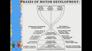 Gross Motor Development according to Gallahues Hourglass Model [upl. by Chaddie266]