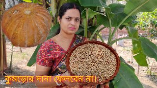 recipe of pumpkin seeds ll কুমড়োর বীজের অসাধারণ দুটি রেসিপি। [upl. by Linneman]