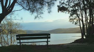 Narrabeen Lagoon  Lakefront  Northern Beaches  NSW [upl. by Armallas]