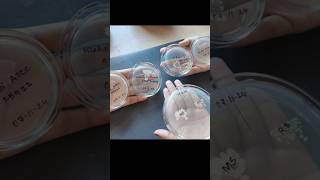 Bacterial Culture Microbiology  Biotechnology [upl. by Razatlab822]