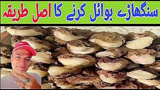 How To Boil Water Chestnut By Just Traveler  How To Boil Singhara At Home [upl. by Betz558]