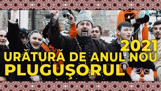 Uratura de anul nou ⛄️ Plugusorul cu 4 boi [upl. by Anuahsar]