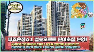 파주운정 2억대 전용55제곱미터 신혼희망타운 공공분양 무순위 청약정보 [upl. by Elfstan]