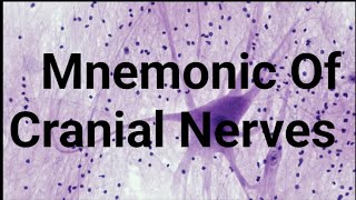 Cranial Nerves Mnemonic Sensory Motor And Mix nerves nandanio4t [upl. by Lalib444]