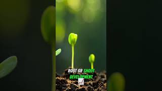 SciKeyword Symbiosis Science class7 chapter1 Nutrition in plants [upl. by Bej]