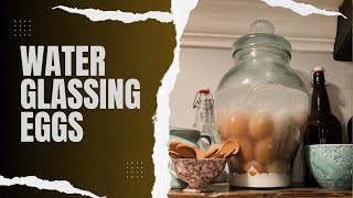 How To Water Glass Eggs [upl. by Ethelin]