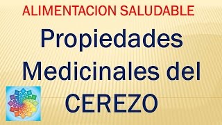 Propiedades Medicinales del CEREZO [upl. by Ennaerb]