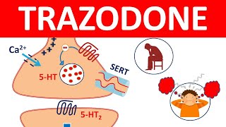 Trazodone tablets and Important Side effects [upl. by Baalbeer]