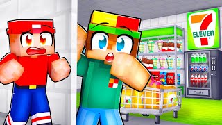 I Built a SECRET 7Eleven in my House [upl. by Lustick347]