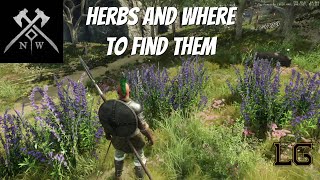 Where To Find All The Different Kinds Of Herbs And Spices In New World [upl. by Isadore]