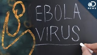 Everything You Need To Know About Ebola In Under 3 Minutes [upl. by Anivla]