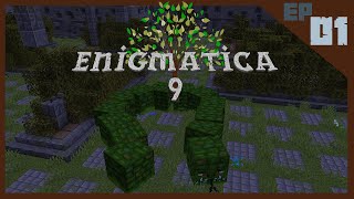 Enigmatica 9 Expert  E1  The Naga Slayer [upl. by Alyakam487]