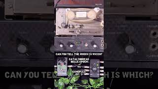 The Catalinbread Belle Epoch vs The Echoplex EP 3 Can You Tell The Difference [upl. by Weisberg]