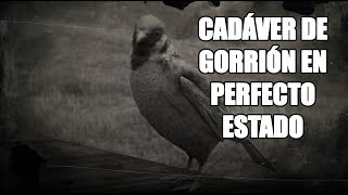 Red Dead Redemption 2 – ¿Cómo conseguir un cadáver de un gorrión en perfecto estado Sparrow [upl. by Demeyer140]